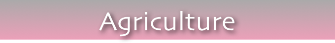 Agriculture