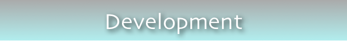 Development